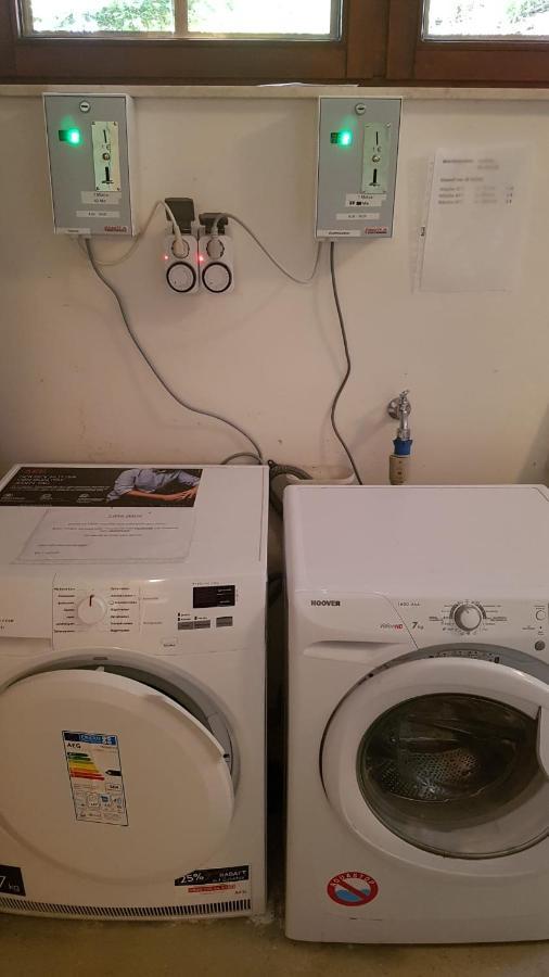 באד סקסה Ferienwohnung Waldzauber מראה חיצוני תמונה
